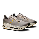 Running Cloudsurfer Max — Cinder Pelican